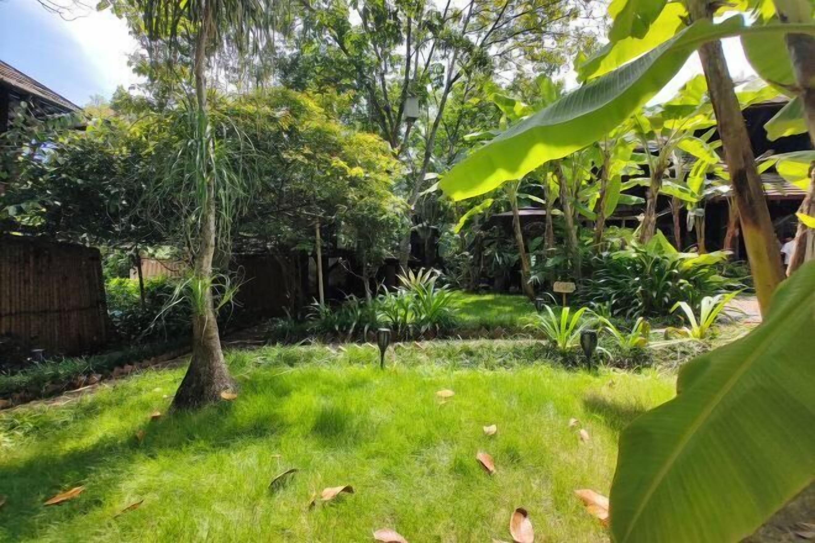 A lush garden with various plants and trees, a wooden fence, and a building in the background.