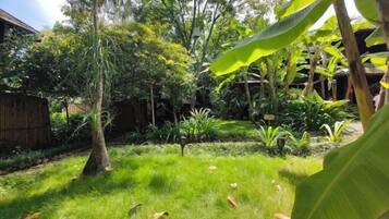 A lush garden with various plants and trees, a wooden fence, and a building in the background.