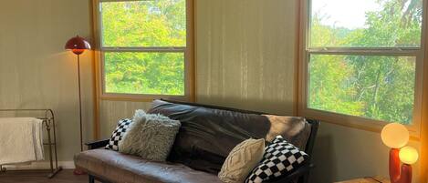 Televisión, reproductor de DVD, libros