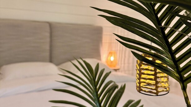 Una cama con sábanas blancas y cabecera, una lámpara colgante y una planta de hojas verdes.