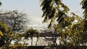 A dry, grassy area with trees and a fence. - Casa Sunset (El Tránsito)