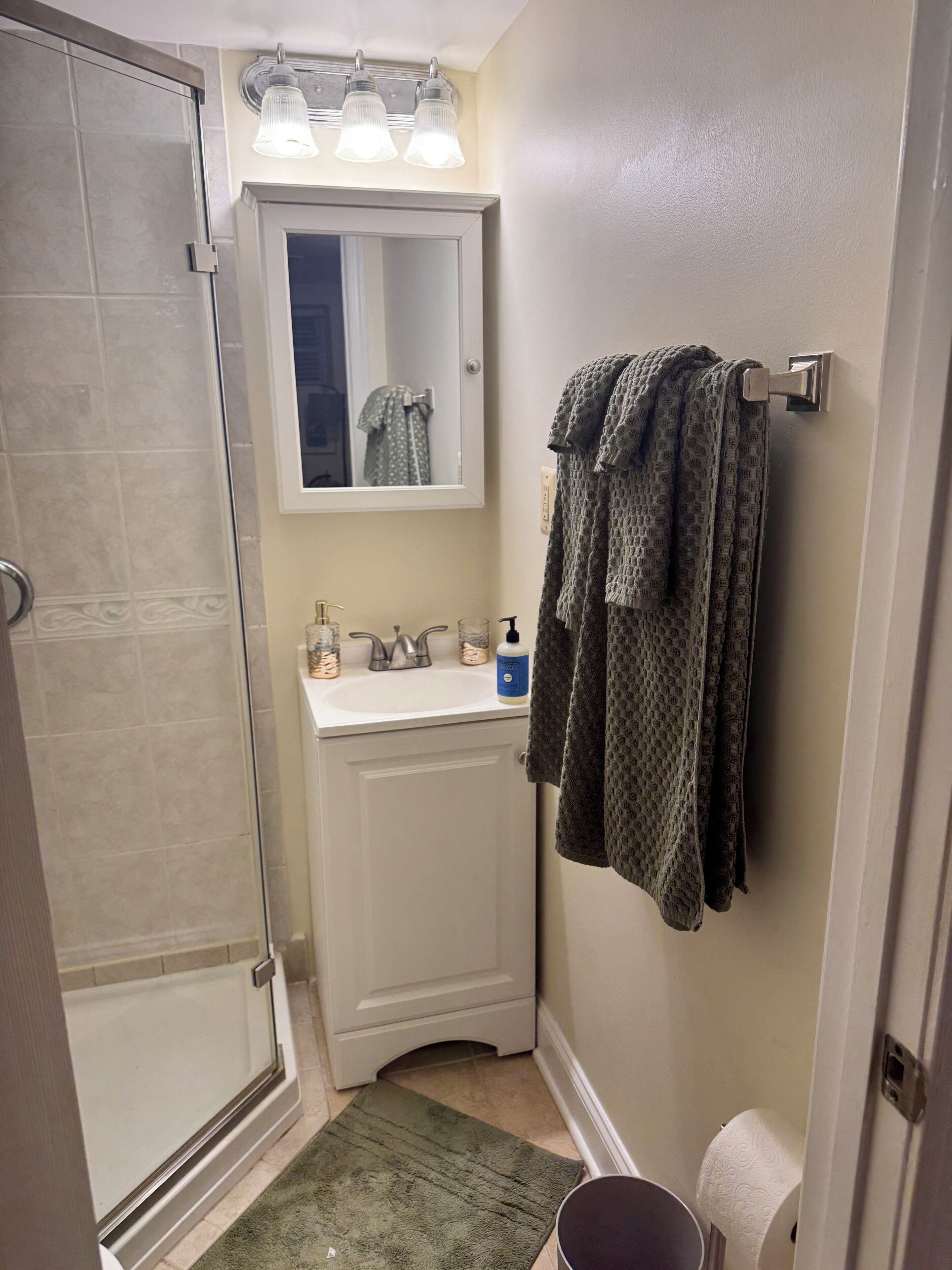 Dusche, Haartrockner, Handtücher, Seife