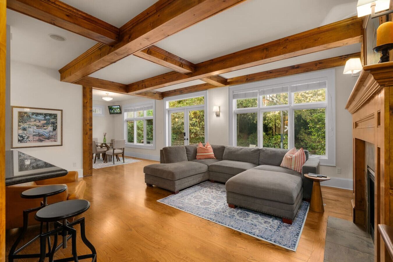 Smart TV, fireplace, video games, DVD player