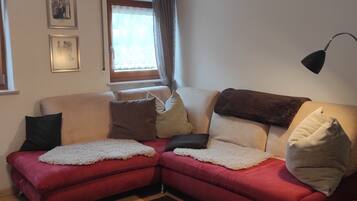 Televisión y libros