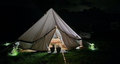 A Canopy under the Stars