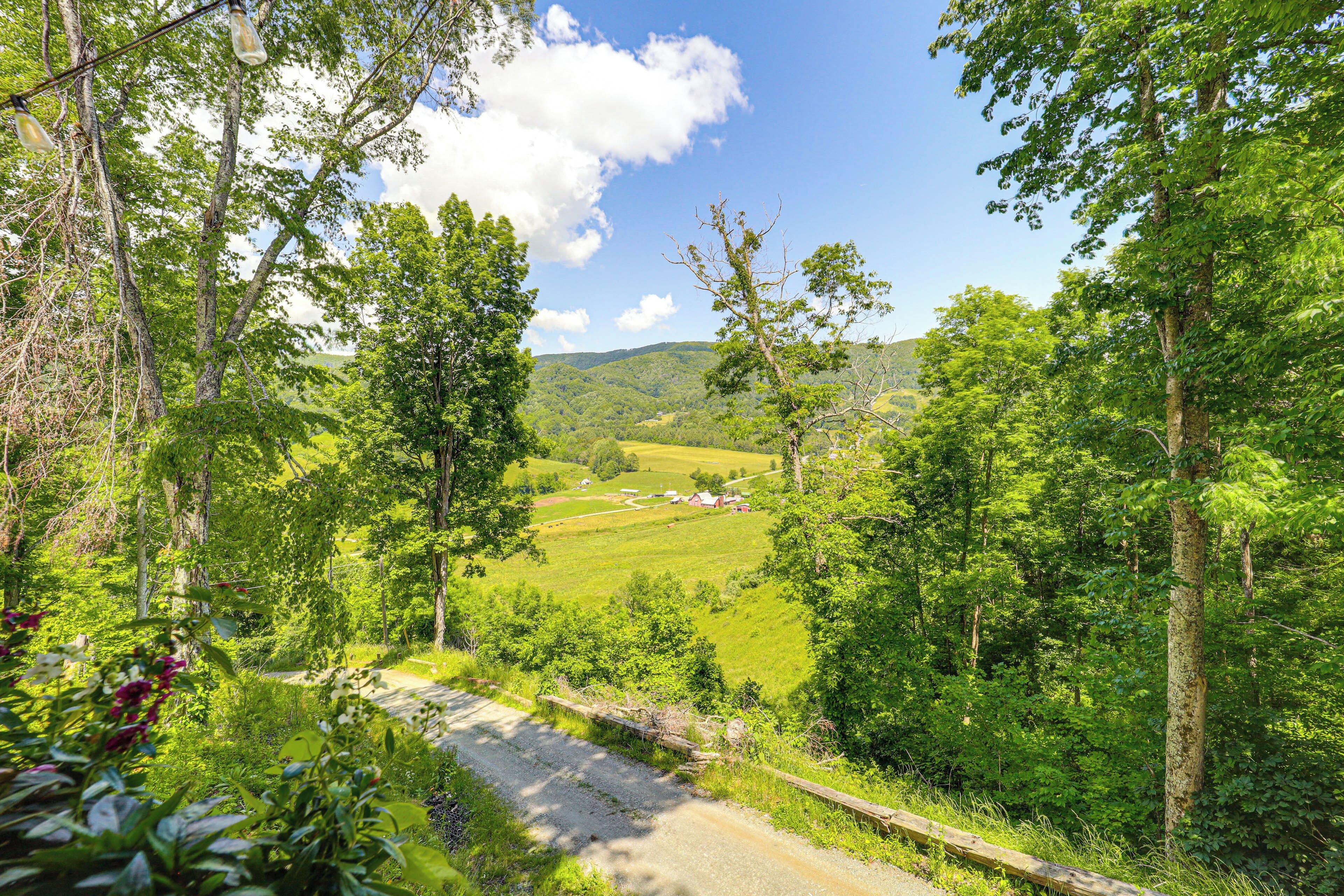 Ländliche Landschaft mit einer unbefestigten Straße, dichtem Grün und blauem Himmel.