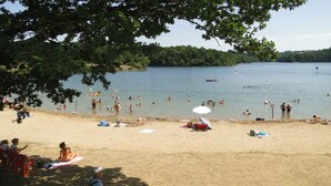 A beach with people swimming and sunbathing, a boat in the water, and a forested area in the background.