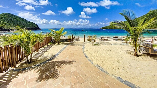 Un sendero pavimentado que conduce a una playa con palmeras y sillas de playa.