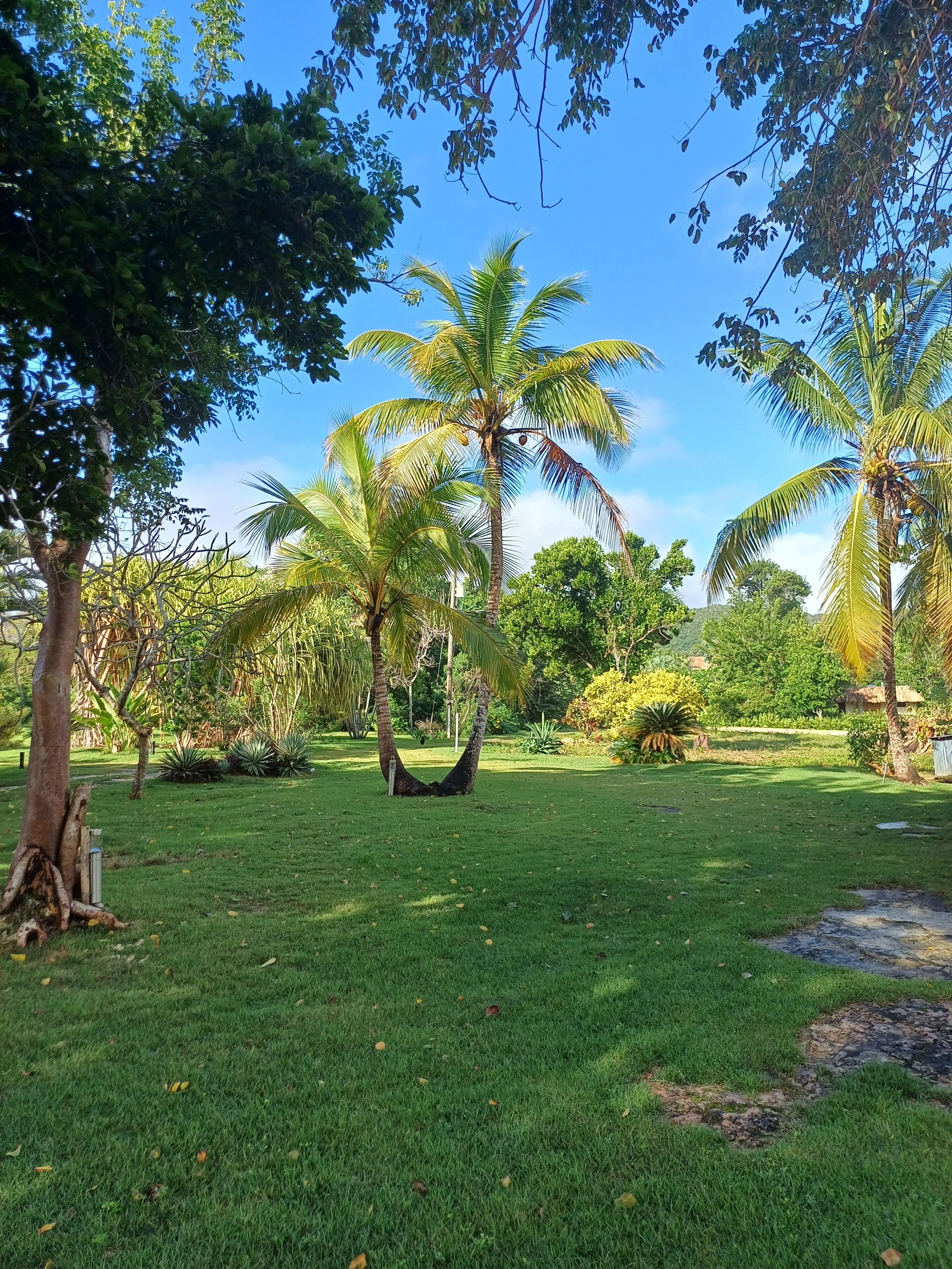 Jardines del alojamiento