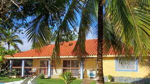 Un resort tropical con una palmera, un sendero de piedra y sillas de descanso blancas.