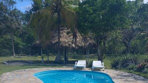 Una piscina con borde de piedra, rodeada de vegetación y dos sillas reclinables blancas.