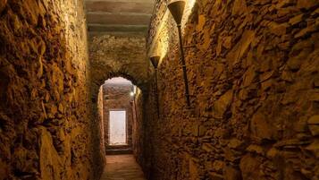 الإطلالة من المنشأة