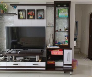 Television