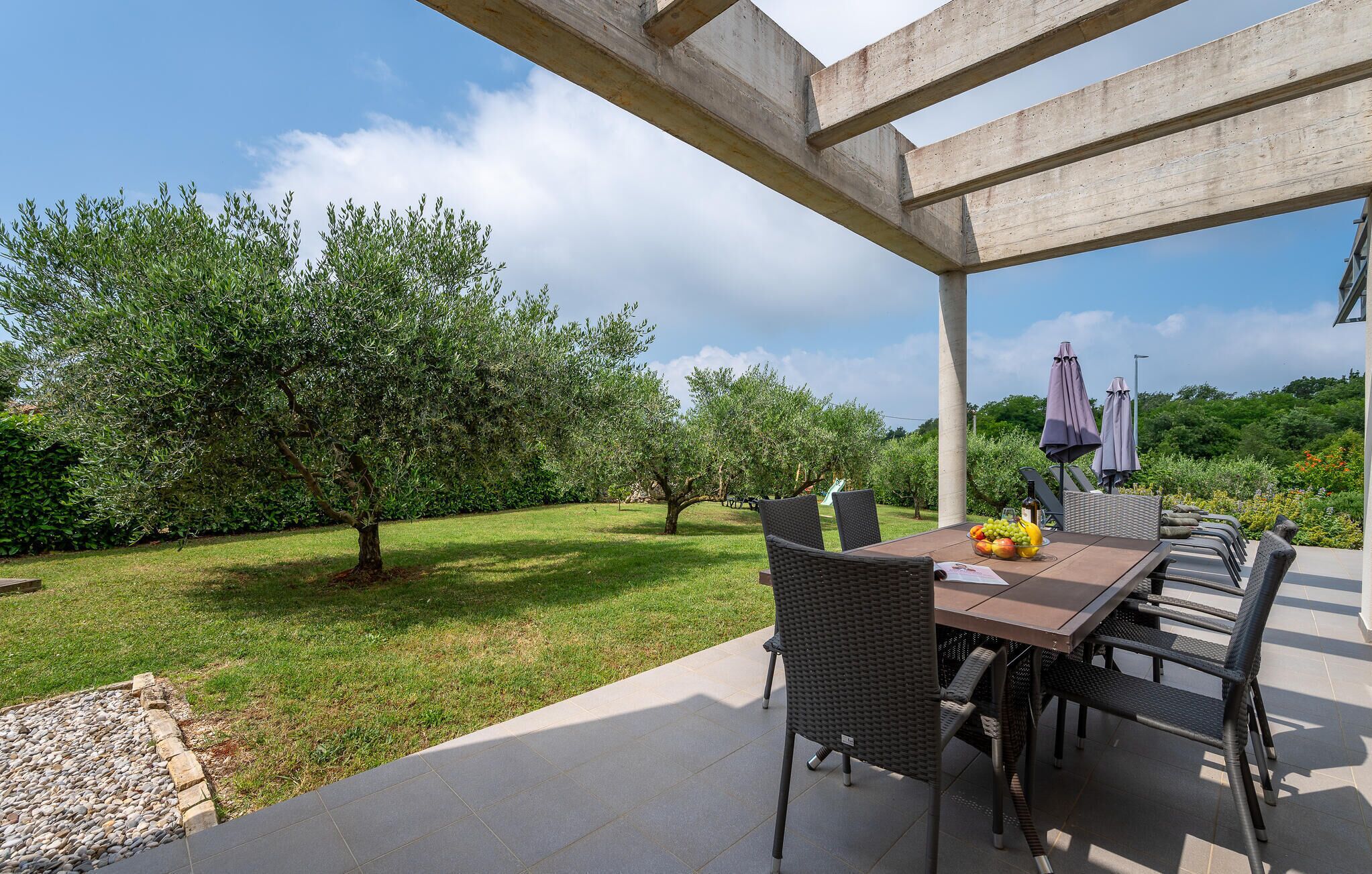 An outdoor patio with a table and chairs, surrounded by olive trees and a clear sky.