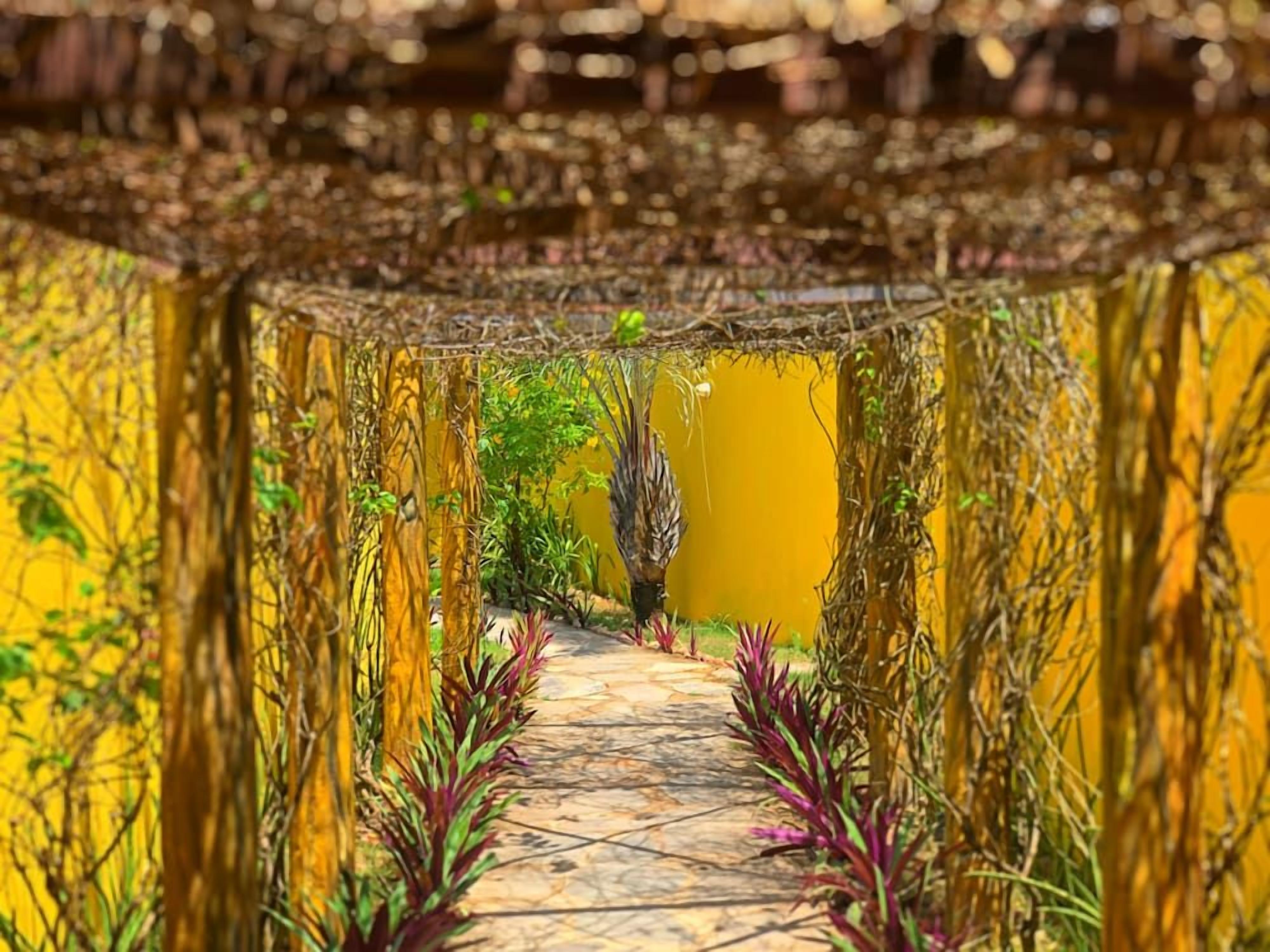 Caminho ladeado por paredes amarelas e vegetação, conduzindo a uma área central com fundo amarelo.