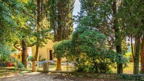 A building with a stone facade, surrounded by trees and a gravel path. - One bedroom beautiful home in Omisalj (Omisalj)