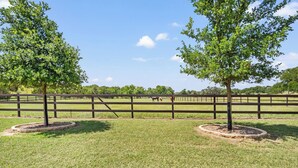 A fenced outdoor area with two trees and a horse in the background. - Timbuctoo 1 | Ranch Stay w/ Wildlife Views (Bandera)
