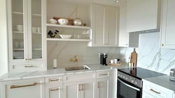 Oven, stovetop, dishwasher