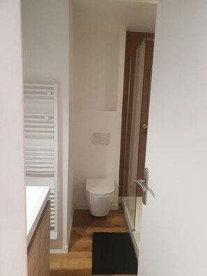 Shower, hair dryer, toilet paper