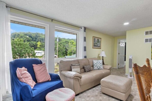 Smart TV, DVD player, video library