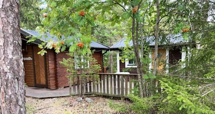 Holiday home within walking distance of one of Gotland's quietest beaches|SE12056