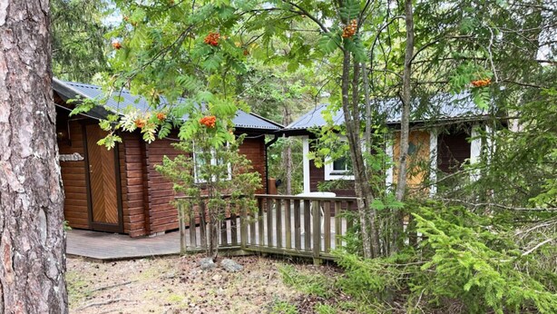 A cabin with a wooden deck, surrounded by dense forest and a small bridge.