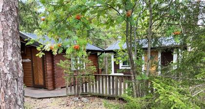Holiday home within walking distance of one of Gotland's quietest beaches|SE12056
