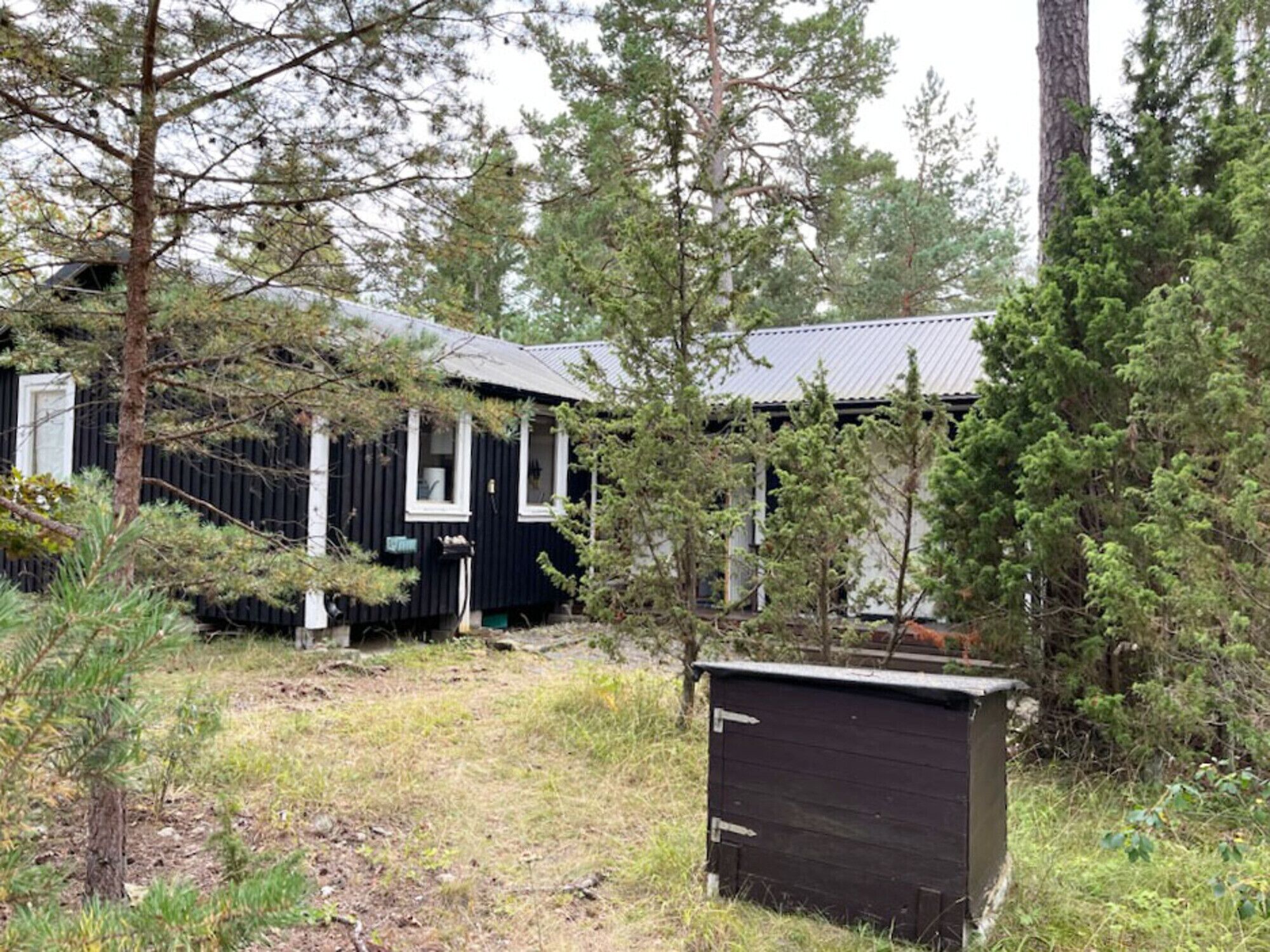 Eksteriør