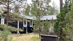 A house with a dark exterior, a metal roof, and a small shed in the foreground.
