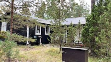 Esterni