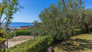 A coastal landscape with olive trees, a clear blue sky, and a view of the sea and buildings in the distance.