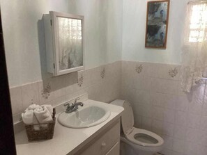 A bathroom with a white sink, a toilet, and a mirror above the sink. - Experience a spacious three-bedroom, two-bathroom villa on the lush Northside. (St Thomas)