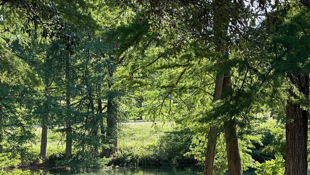 Un terrain de camping au bord du lac, avec des chaises et un chemin éclairé par des lanternes.