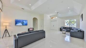 Smart TV, fireplace, books