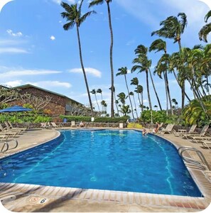 Piscina com espreguiçadeiras e palmeiras.