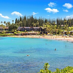 A beach resort with multiple buildings, palm trees, and clear blue water.