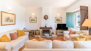 TV, fireplace