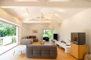 TV - Villa Estrella between lake and ocean with private pool, private terrace, and Wi-Fi (Soorts-Hossegor)