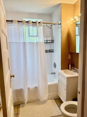 Hair dryer, towels, soap, shampoo