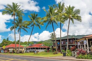 Exterior - Spacious 5-bedroom house with AC, WiFi in gorgeous Hanalei (Hanalei)