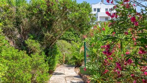 Un sendero de piedra serpentea por un jardín exuberante, lleno de follaje denso y plantas en flor.