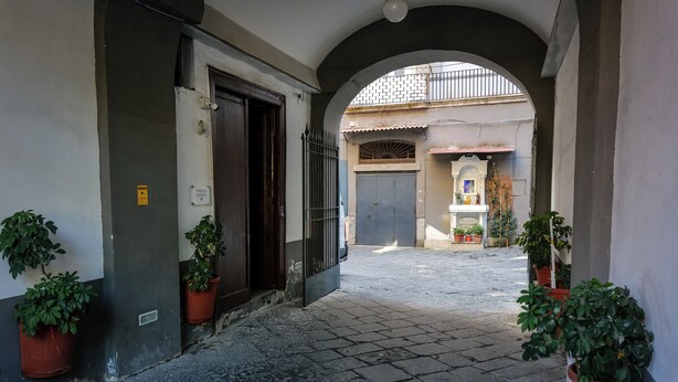 Um beco estreito com piso de azulejos, ladeado por paredes com plantas em vasos.