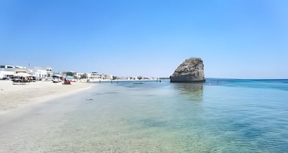 Bed and Breakfast 'Tallyho Giglio' with Shared Terrace, Wi-Fi and Air Conditioning