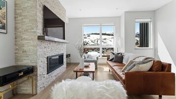 Smart TV, chimenea, libros, videoteca