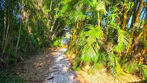 A narrow, gravel path surrounded by dense tropical foliage. - Spacious 3BR Retreat • King Beds • Close to Siesta Key (Sarasota)
