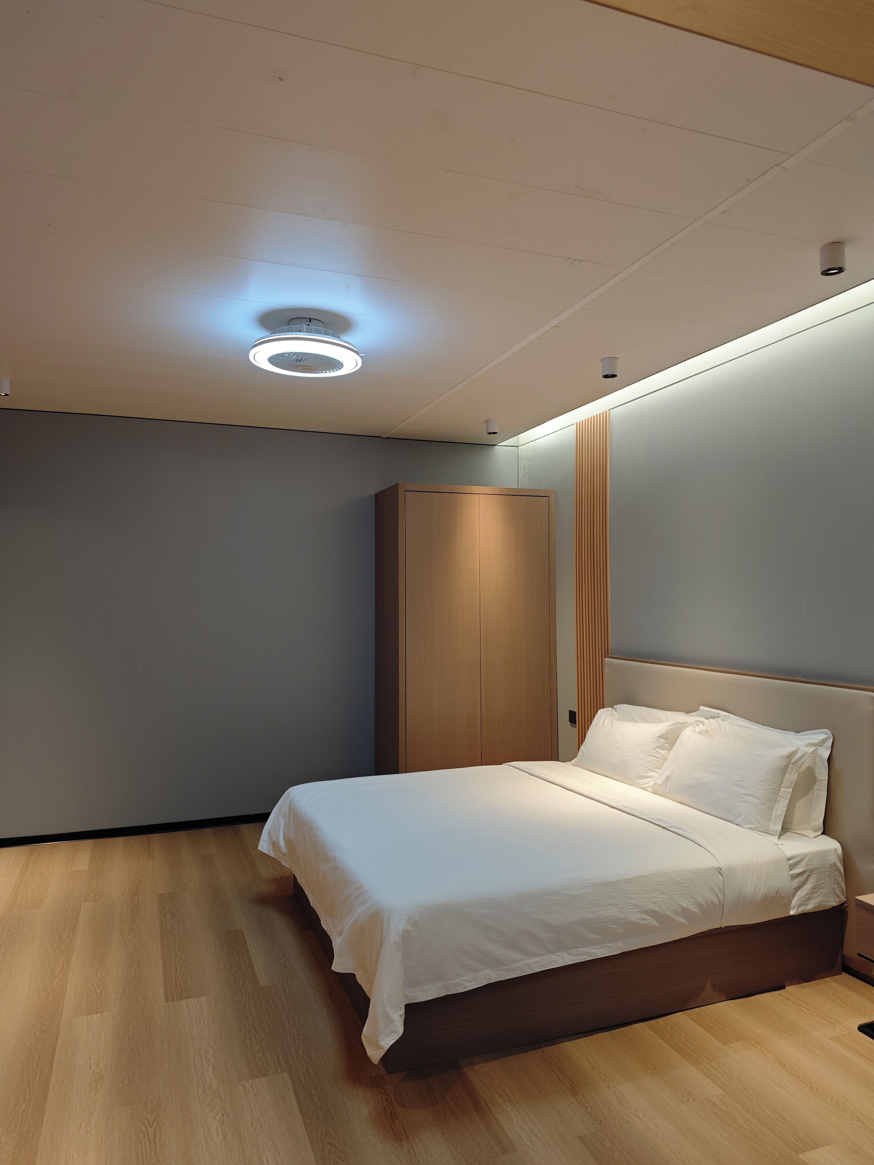 Literie hypoallergénique, couette en duvet d'oie