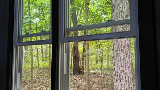 Two windows with a view of a forested area. - The Mill Creek Hideout (Mill Creek)