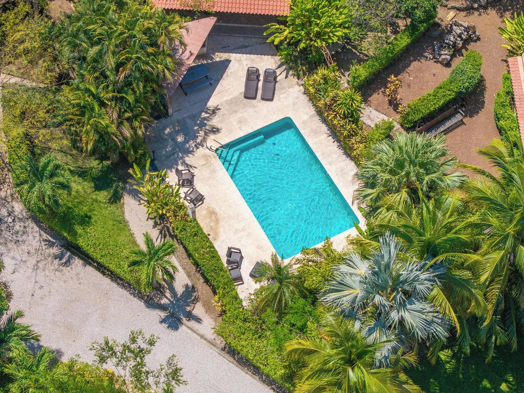 An aerial view of a rectangular swimming pool surrounded by lush greenery and palm trees.