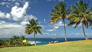 A golf course with a flag, palm trees, and a golf cart. - Beachside Near Airport Near Golf Course (Aguadilla)