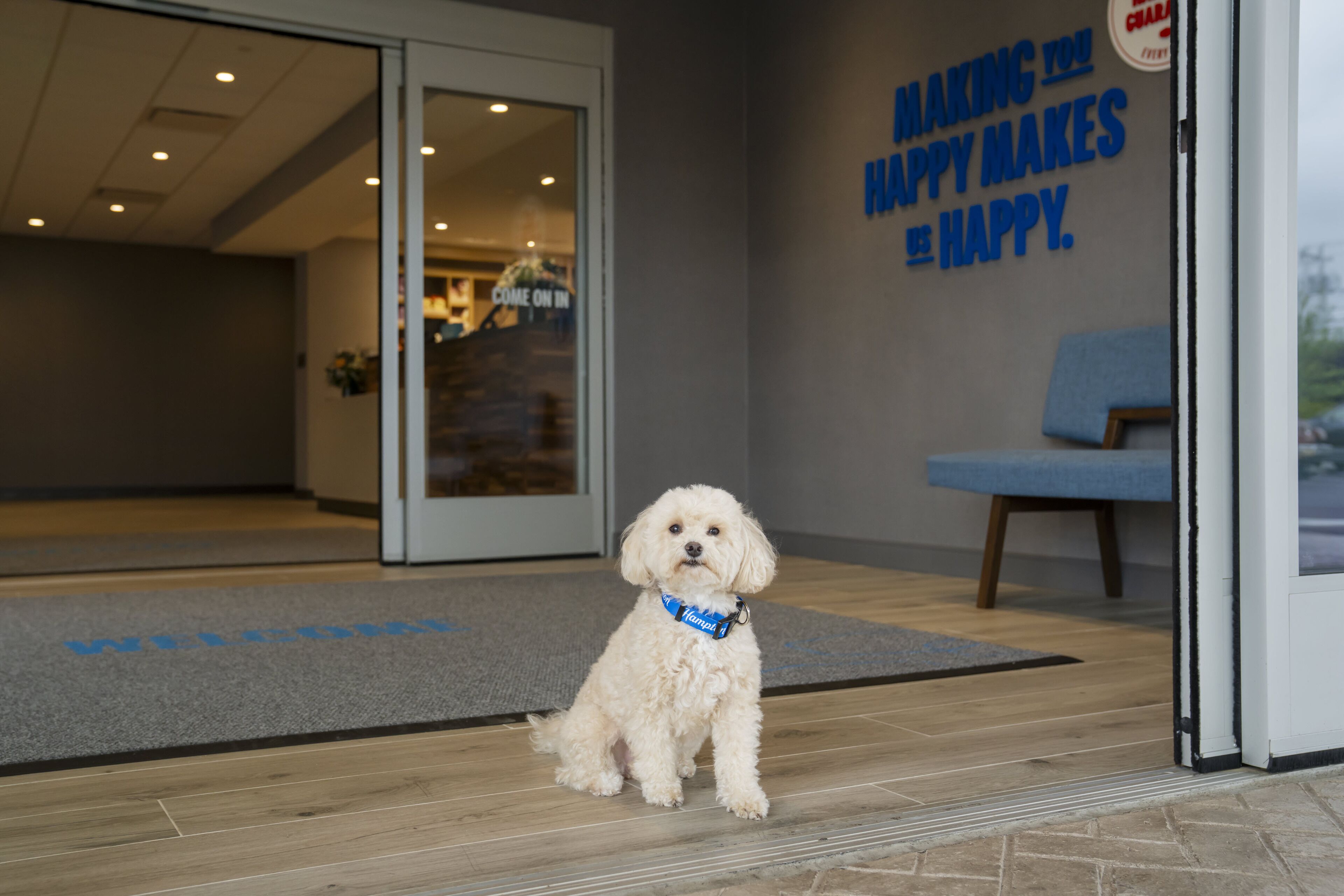 Pet-friendly
